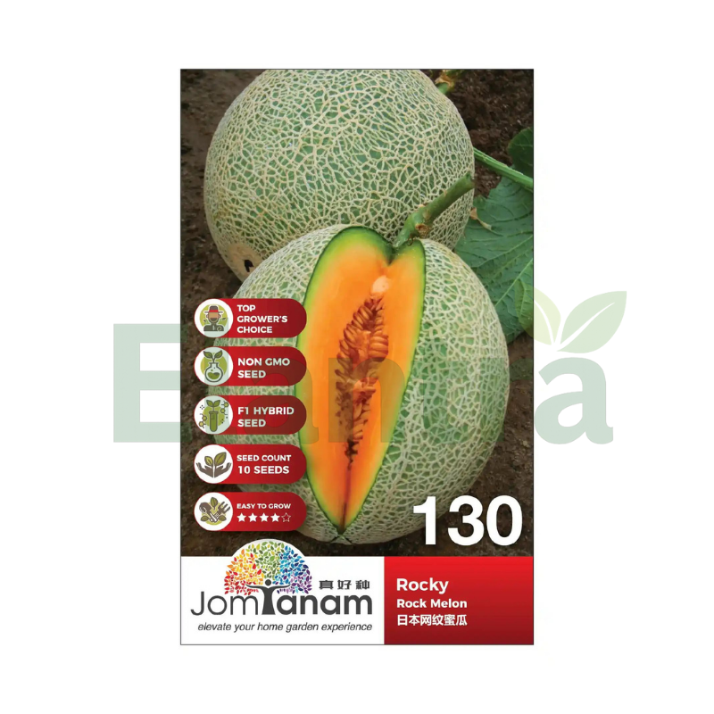 130 ROCK MELON
